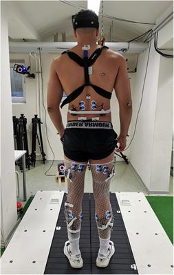 Biomechanical feedback and feedforward responses during perturbed running in asymptomatic individuals